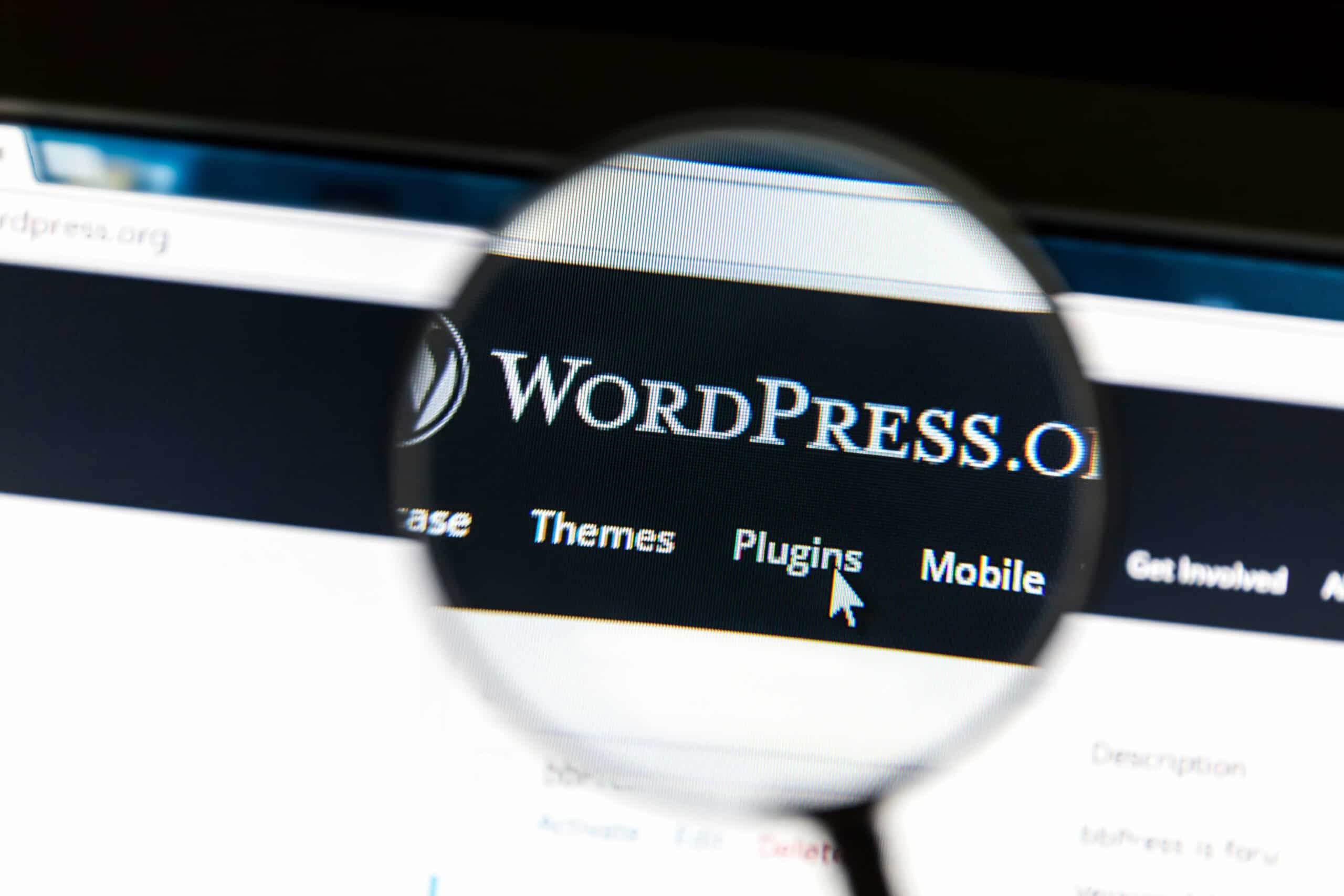 Wordpress Homepage, Menüleiste mit Leselupe vergrößert